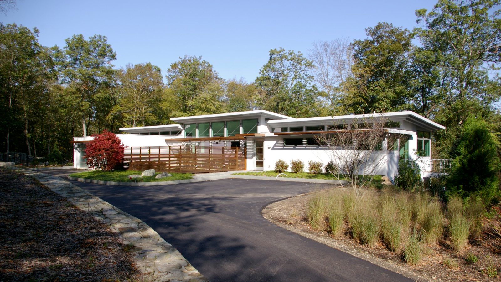 Contemporary in the Woods